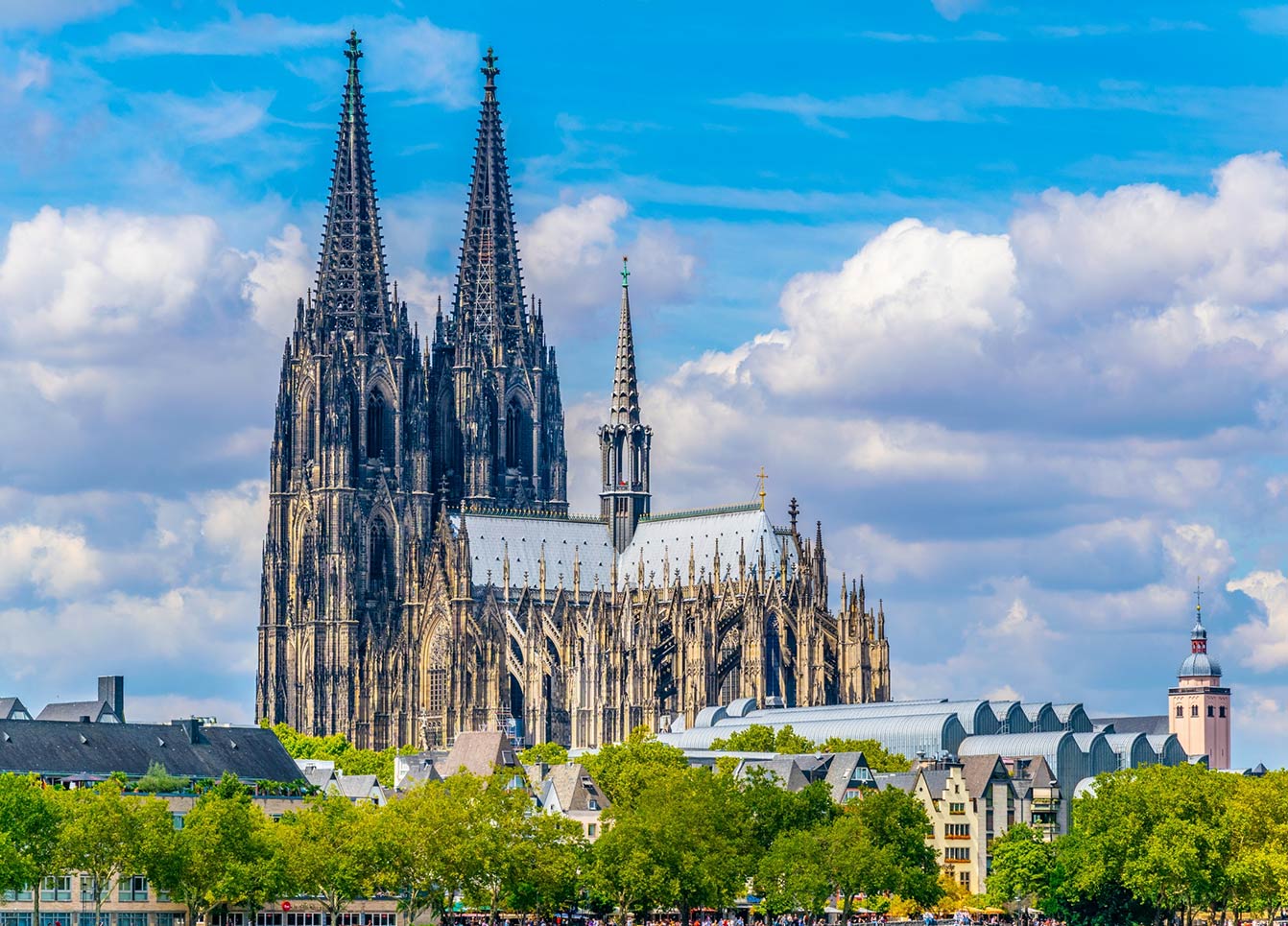 cologne